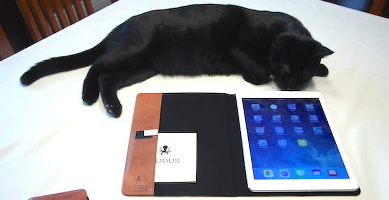 Merry modeling with the Nodus Access Case for iPad Air