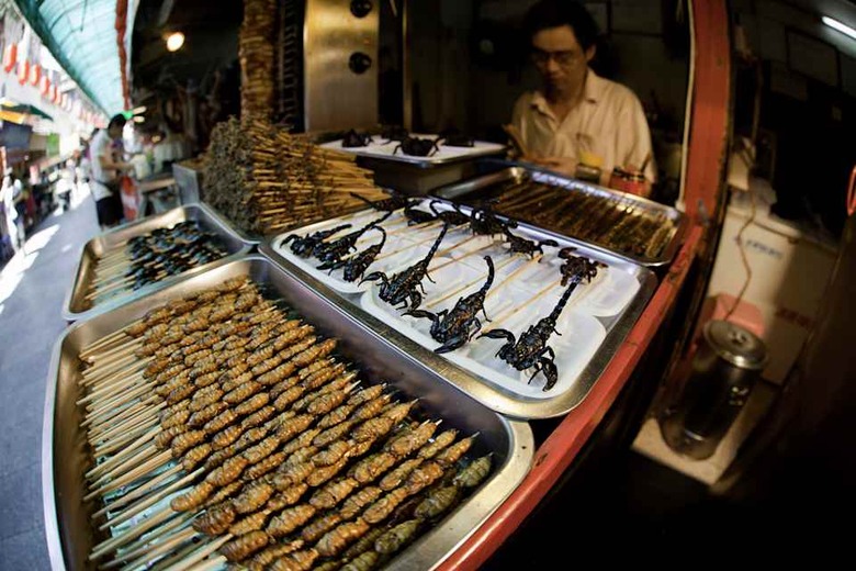 Deep fried and on sticks, Scorpions, Silkworms, Beetles, Crickets, Centipedes and Spiders for sale at a food stand in Guangzhou,