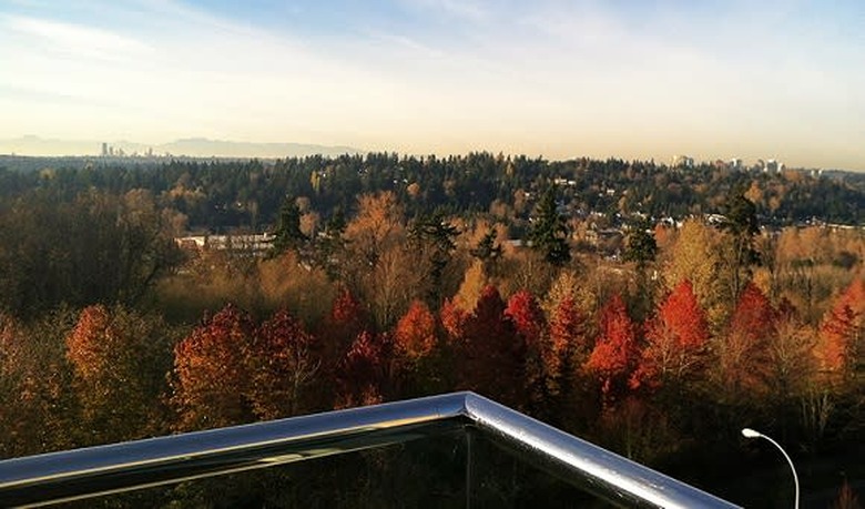 This is undoubtedly the most revealing photograph of ArenaNet's roof railing ever taken. 