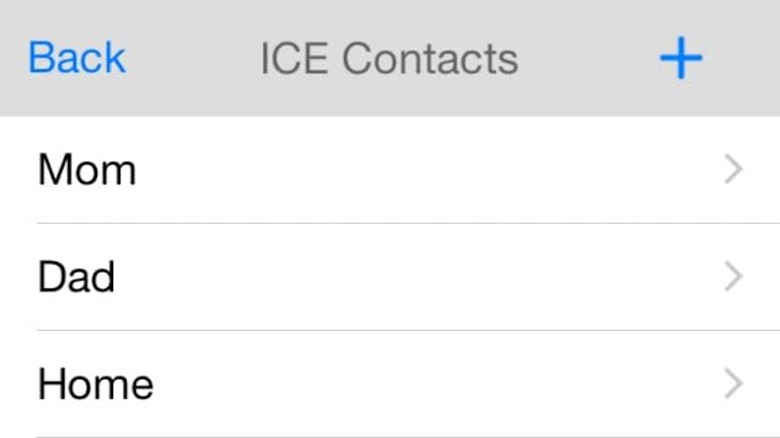 ICE BlackBox screenshot