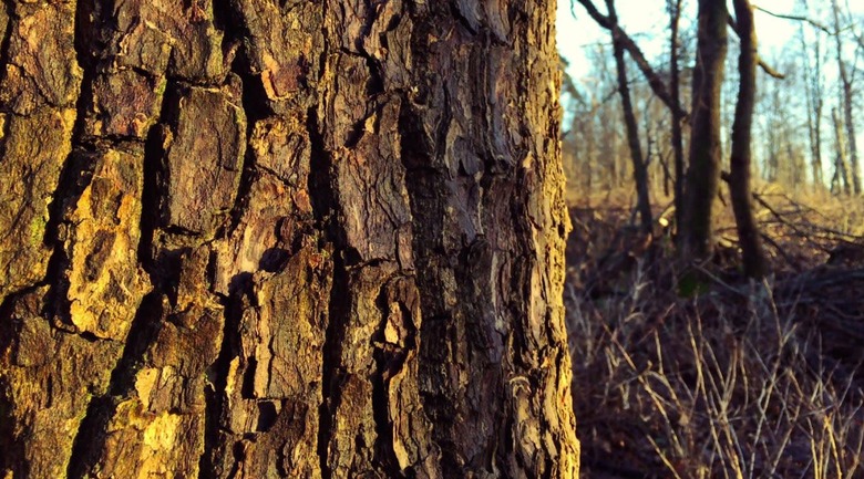 iPhone 4k video
