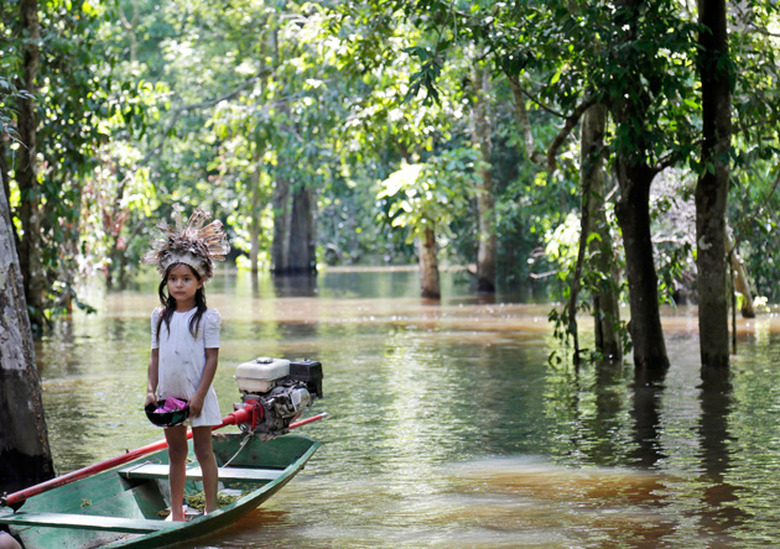 A river in the Amazon