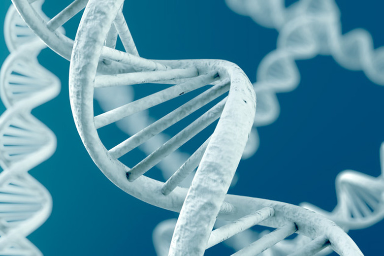 DNA strand