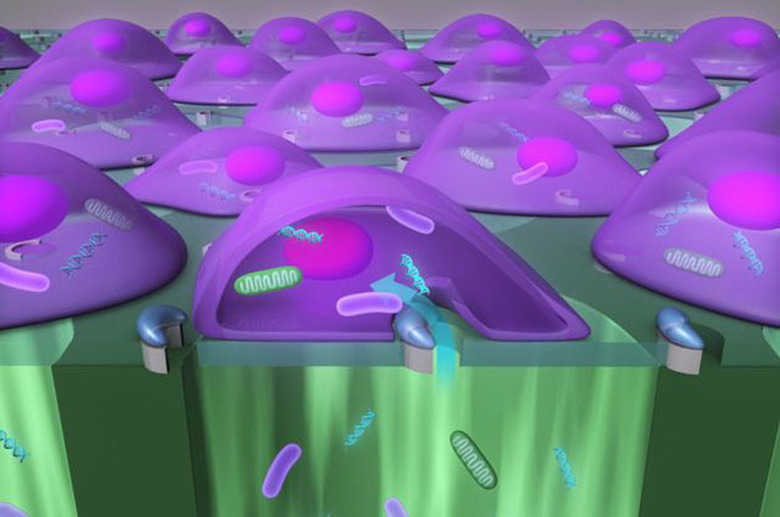 UCLA's cellular injection
