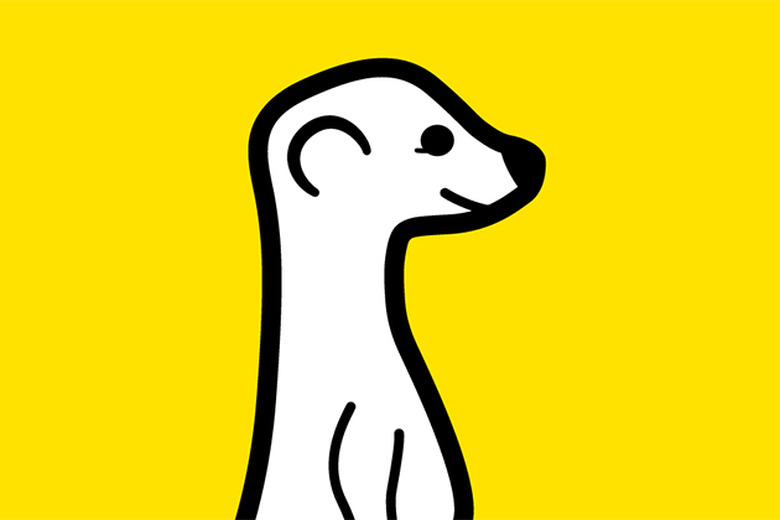 Meerkat