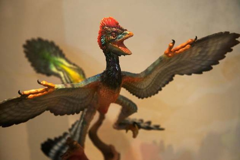 Restored model of Anchiornis huxleyi 
