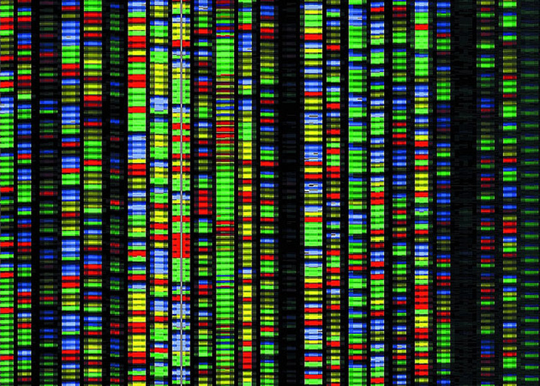 Human DNA sequencing