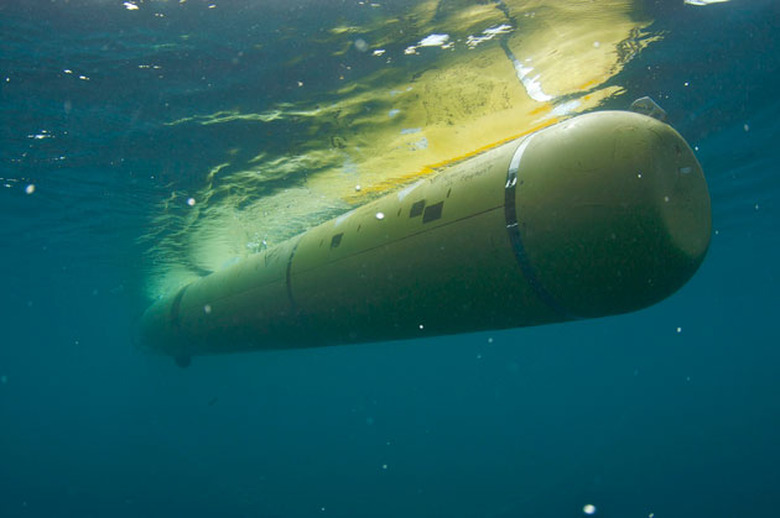 Monterey Bay Aquarium's autonomous underwater vehicle