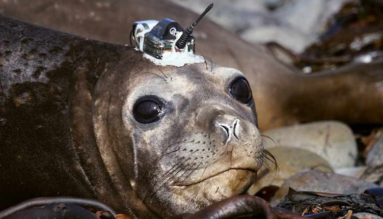 TO GO WITH AFP STORY IN FRENCH BY GUY CL