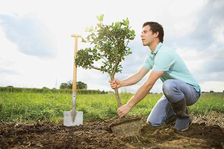 Germany, Bavaria, Mid adult man planting tree on field