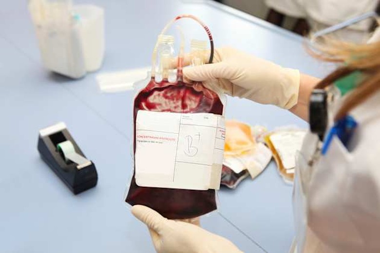 Doctor in a blood bank is holding blood bag with red blood cells