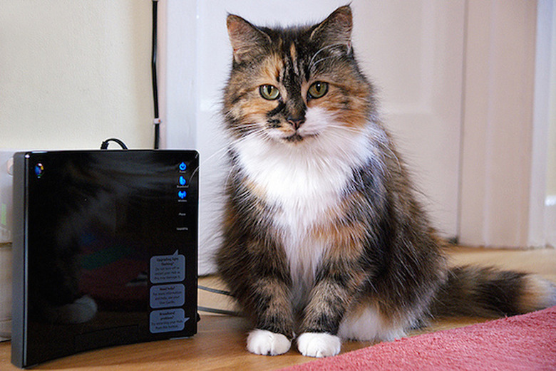 Broadband Router