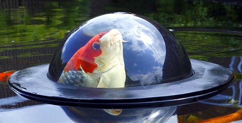 Inhabitat's Week in Green
