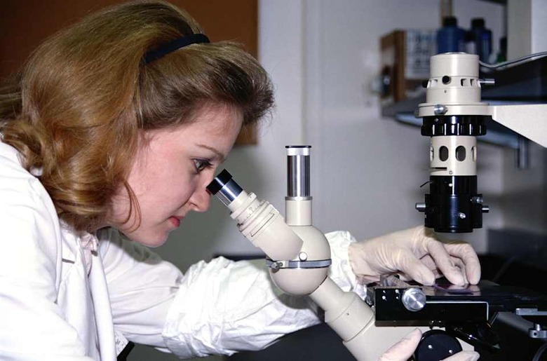 Title: Scientist Looking Through a MicroscopeCreative image #: ST001549License type: Royalty-freePhotographer: Hisham I