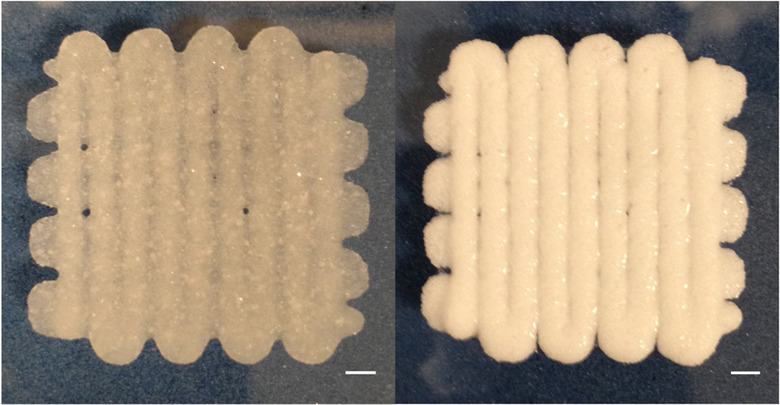 Bioprinted 'dough'
