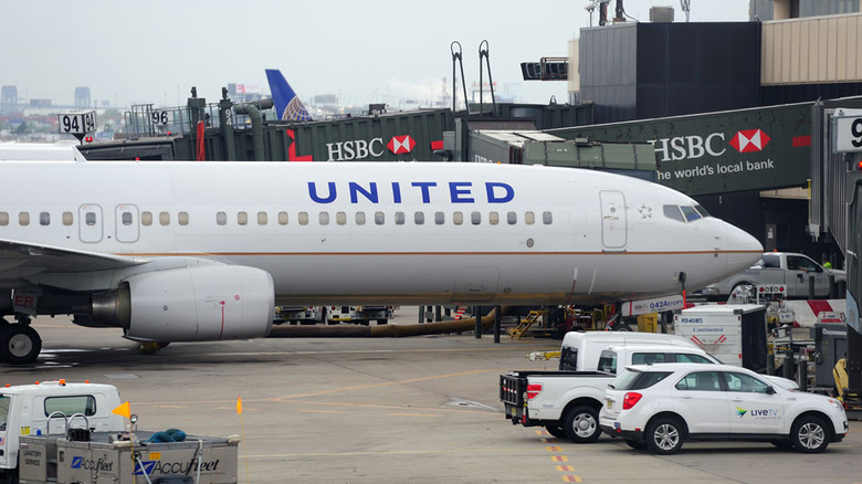 A United Airlines jet at its gate
