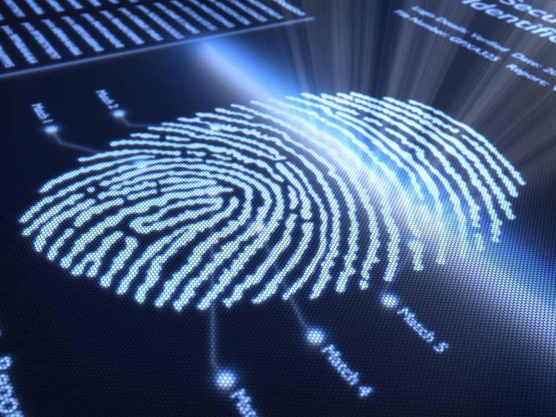 Fingerprint on pixellated screen