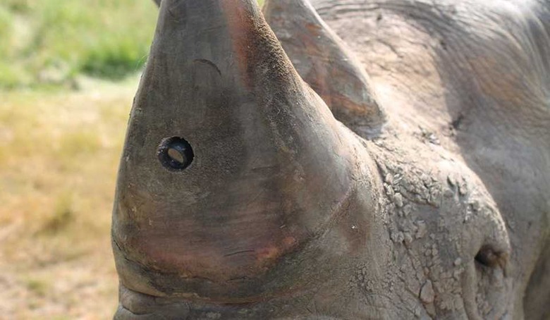 Project RAPID rhino horn camera
