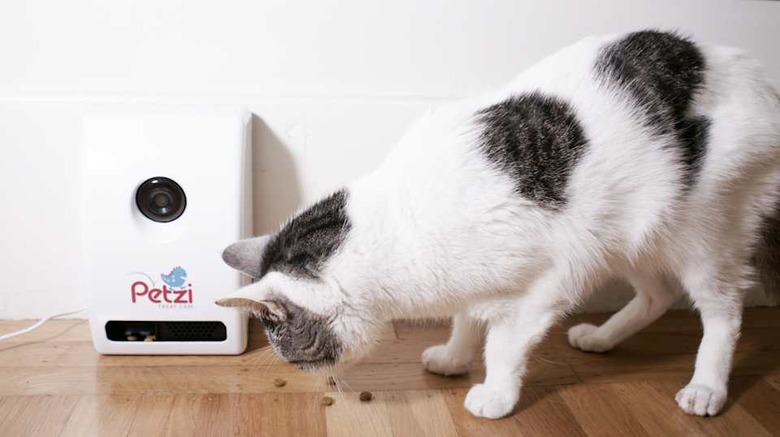 Shoot food at your pets with the Petzi Treat Cam