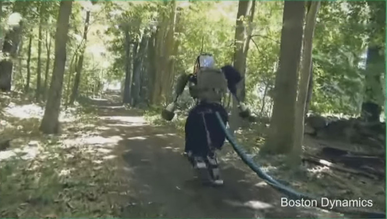 atlas walks in woods
