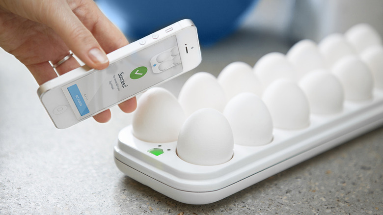 Quirky's egg tray
