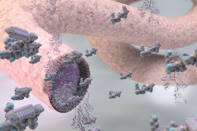 Artificial vein structure made fomr self-assembling materials
