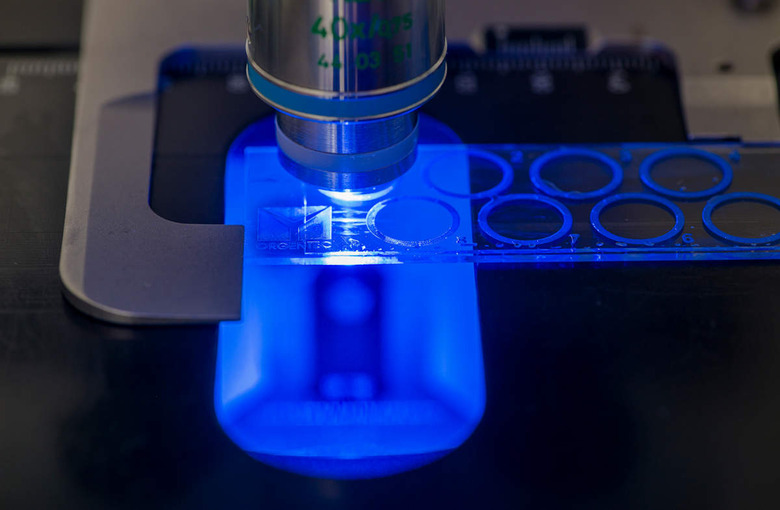 Microscopical Immune Florescence test for the proof of