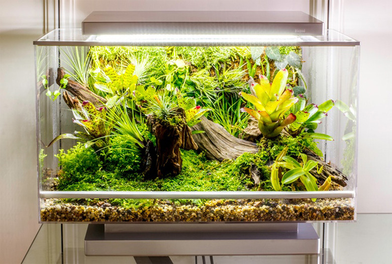 The Biopod Terra in action