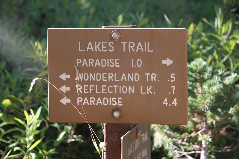 Mt. Rainier trails