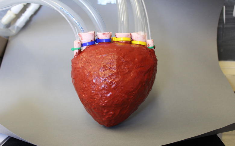 Cornell's foam artificial heart