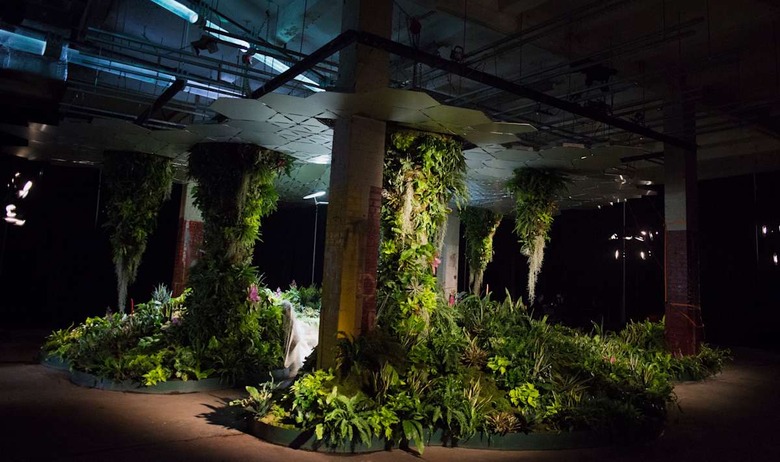 A Look Inside the Lowline, New York City's First Underground Park
