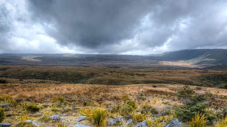 Heaphy Track between Perry Saddle Hut and Gouland Downs Hut