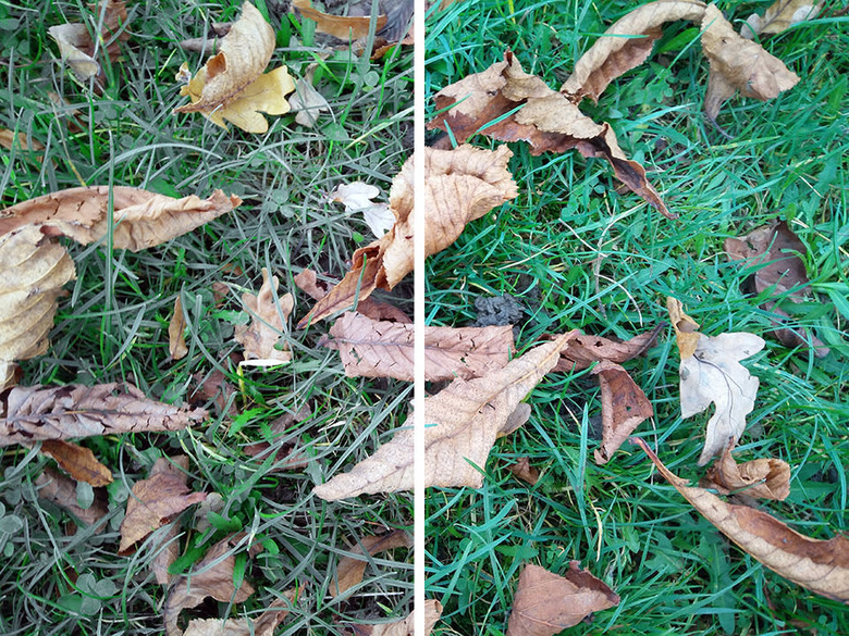 OnePlus X camera smaple