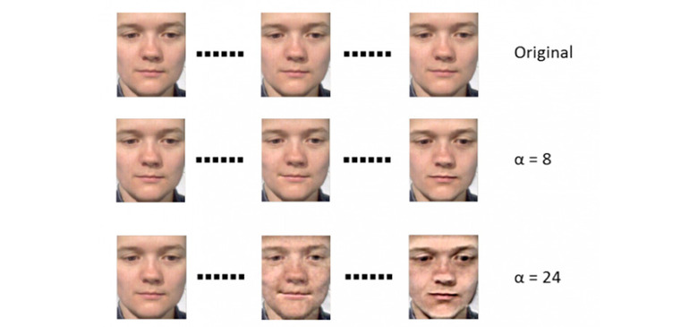 Detecting microexpressions through an algorithm