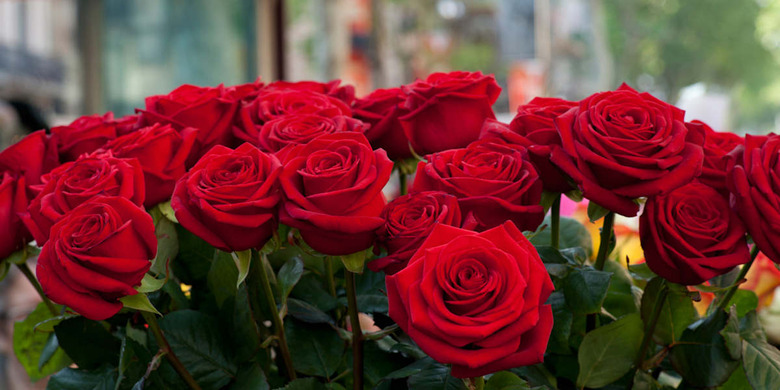 Close-up of red roses in a bouquet during Sant Jordi Festival, Barcelona, Catalonia, Spain