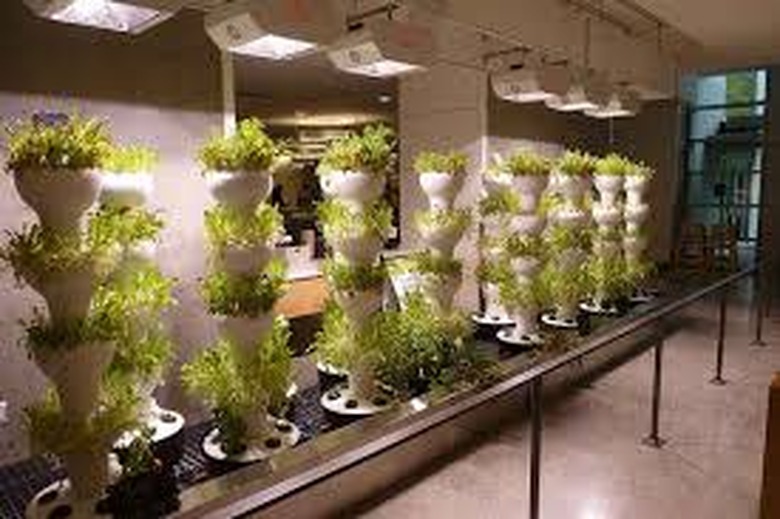 gardening and tech