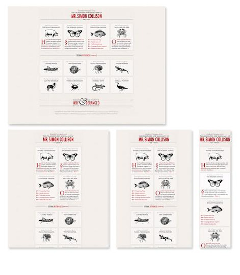 Mobile Responsive Website PC