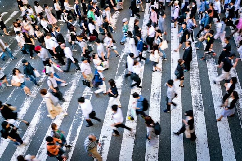 Many people cross the street on a zebra crossing in the Osaka
