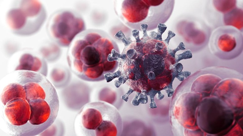 A 3D rendered image of cells. One of the cells has dark tubules protruding from it as compared to the other clear cells.