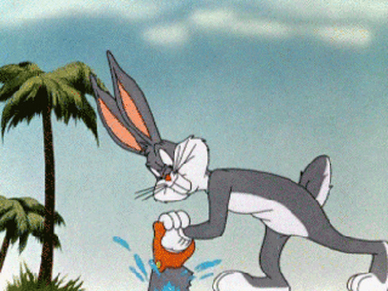 Image result for bugs bunny florida gif imgur