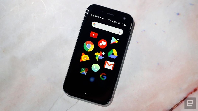 Palm review