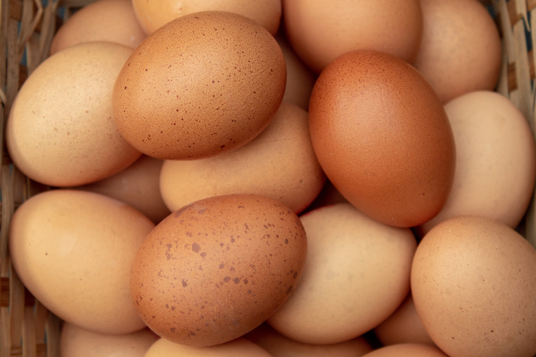 eggs