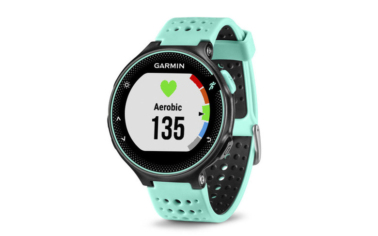 garmin