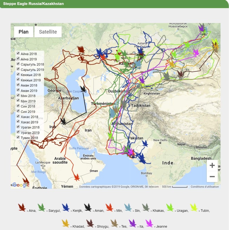 Russian Steppe eagles roaming charges
