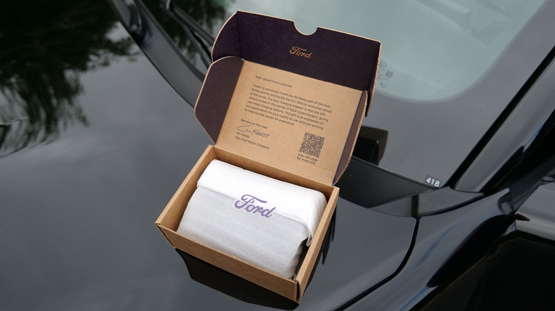 Earlier this year, Ford announced that it would give Mach-E and F-150 Lightning owners a free CCS to NACS charging adapter.