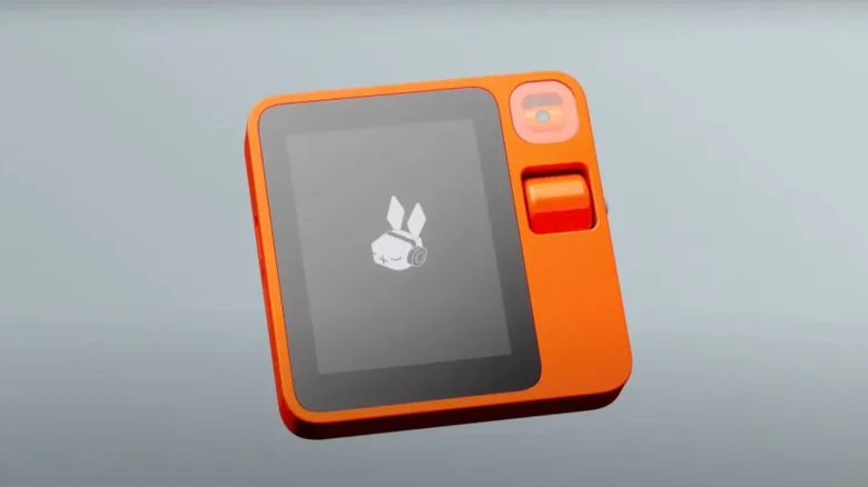 Rabbit