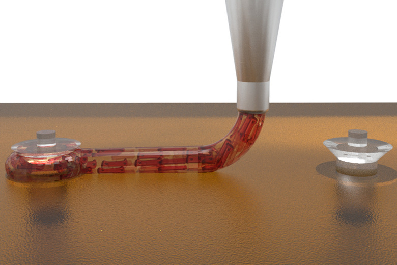 3D-printed cardiac macrofilaments