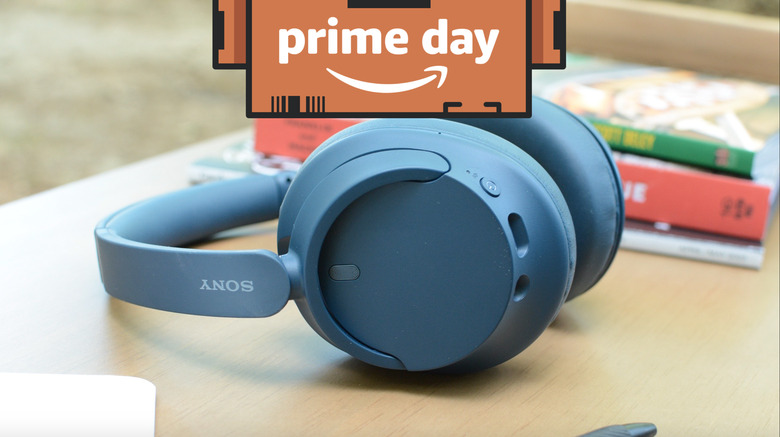 A pair of headphones.