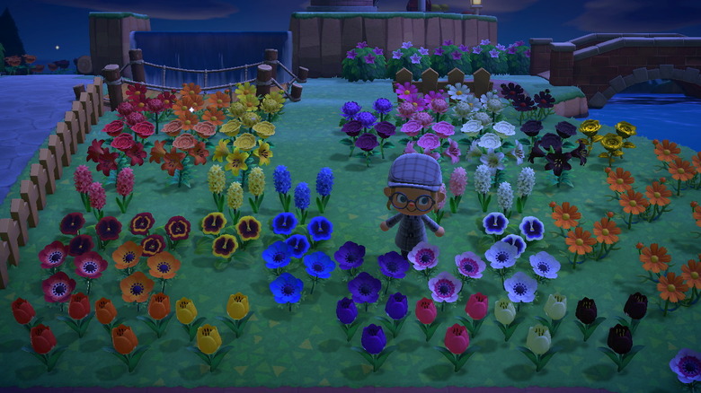 Animal Crossing: New Horizons