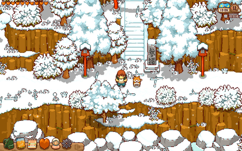 look at the little dog!!